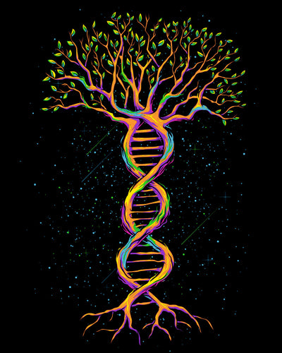 Tree of Life Tee-Black-Regular-Swatch--Model---L