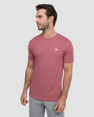 Basic Tee - Branded-Heather Mauve-Front--Model---M-Regular