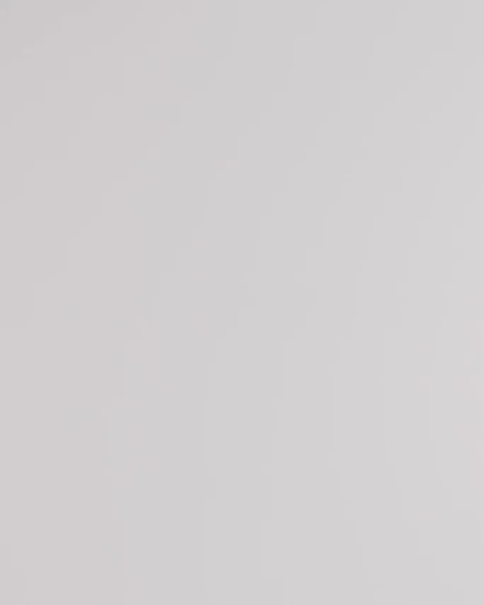 Heavyweight Tee-Bone-Regular-Video--Model---L